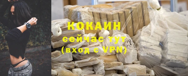 кокс Арсеньев