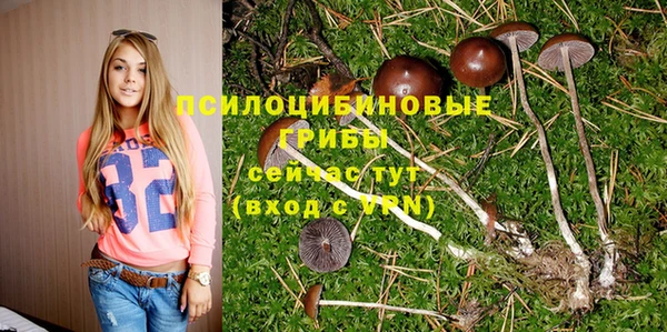 кокс Арсеньев