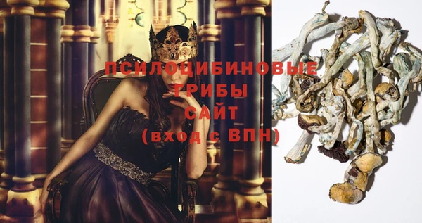 кокс Арсеньев