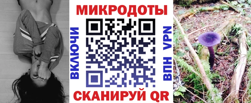 МЕГА как войти  Жуковский  Псилоцибиновые грибы Psilocybine cubensis 