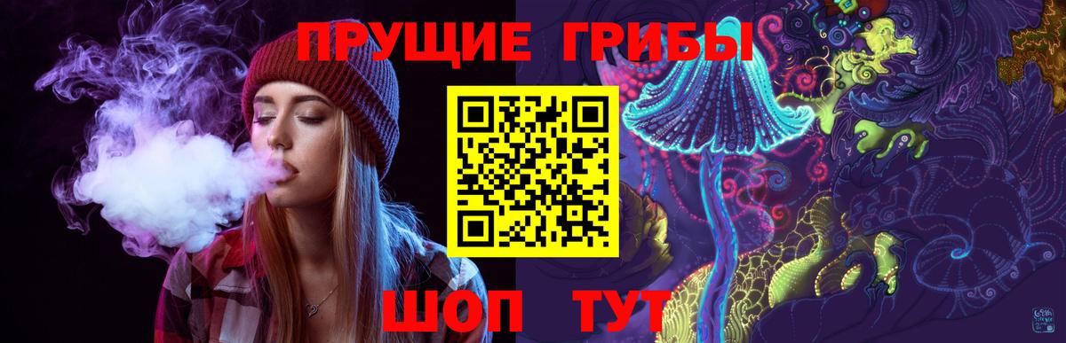 Жуковский  Псилоцибиновые грибы MAGIC MUSHROOMS  Вход с VPN 