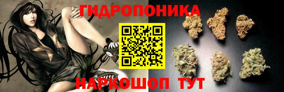 Канабис гибрид Жуковский